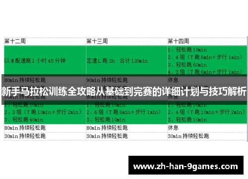 新手马拉松训练全攻略从基础到完赛的详细计划与技巧解析